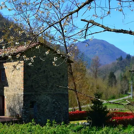 Dreamy Cottage In Trebbio With Pool 別荘
